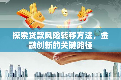 南乐探索贷款风险转移方法，金融创新的关键路径