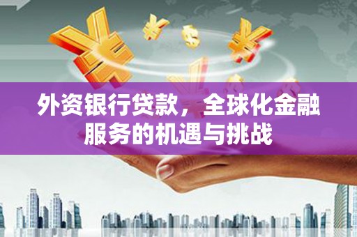 南乐外资银行贷款，全球化金融服务的机遇与挑战