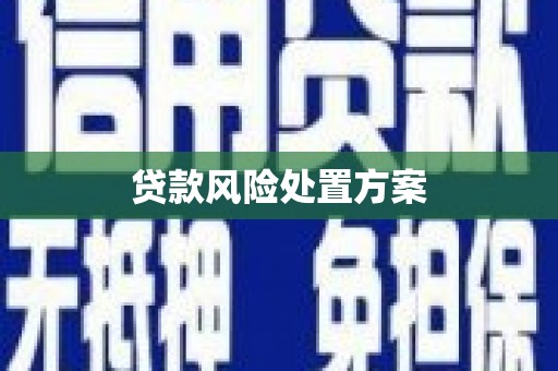 南乐贷款风险处置方案