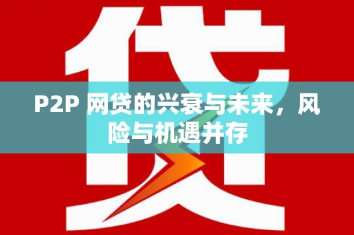 南乐P2P 网贷的兴衰与未来，风险与机遇并存