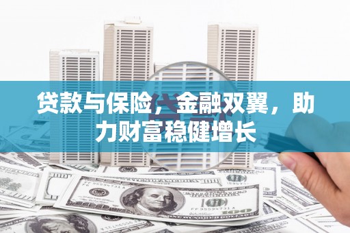 南乐贷款与保险，金融双翼，助力财富稳健增长