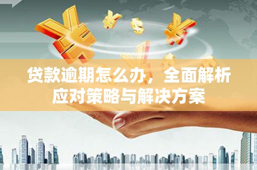 南乐贷款逾期怎么办，全面解析应对策略与解决方案