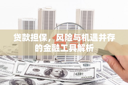 南乐贷款担保，风险与机遇并存的金融工具解析