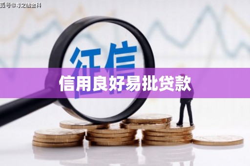 南乐信用良好易批贷款