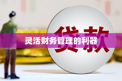 南乐灵活财务管理的利器