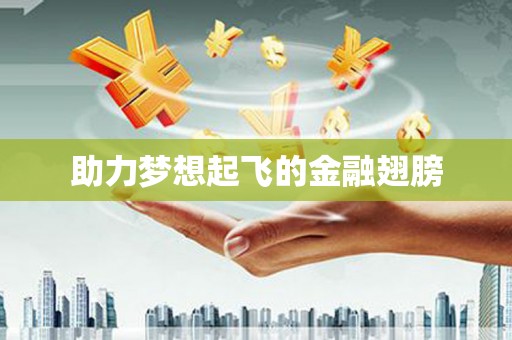 南乐助力梦想起飞的金融翅膀