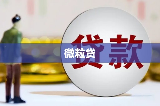 南乐微粒贷