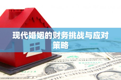 南乐现代婚姻的财务挑战与应对策略