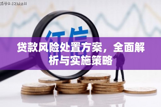 南乐贷款风险处置方案，全面解析与实施策略